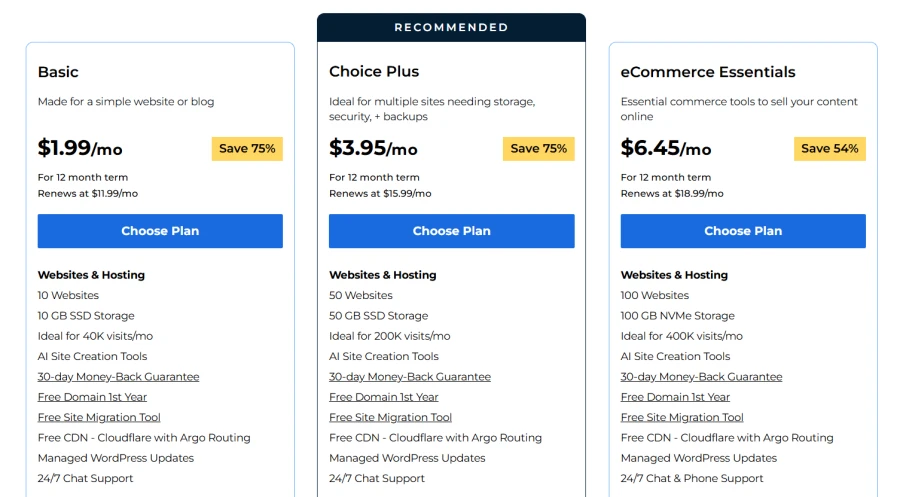 Bluehost WordPress Hosting Plan