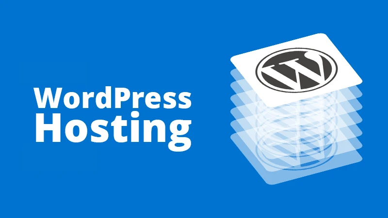 What Is the Best Hosting with Lifetime Validity? A Honest Look at One-Time Payment Plans